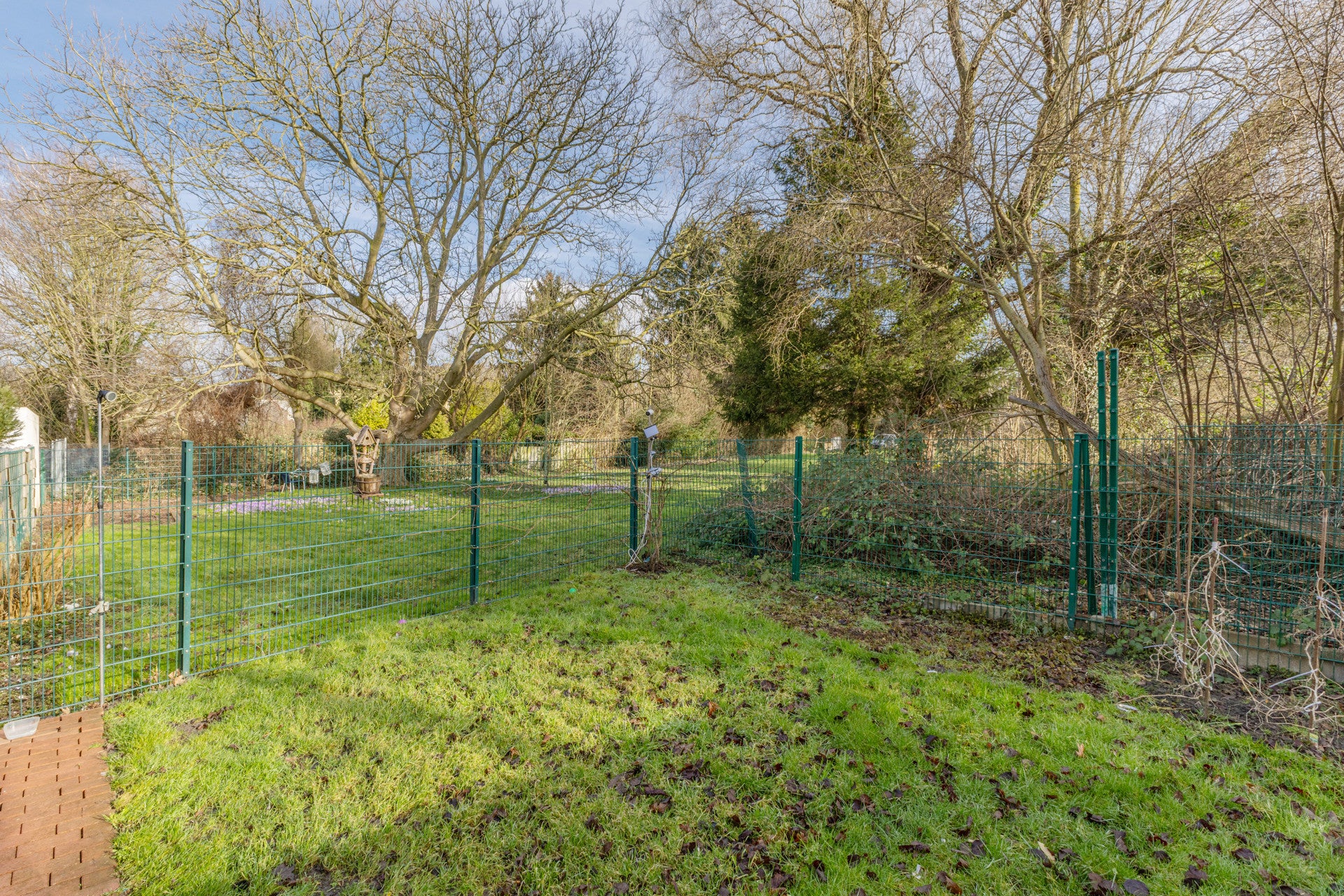 Familienidyll am Waldrand – Großzügiges Reihenendhaus in Dortmund-Mengede